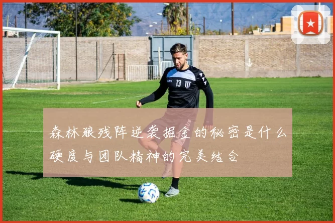森林狼残阵逆袭掘金的秘密是什么硬度与团队精神的完美结合