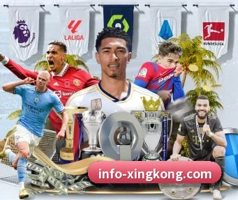 星空体育 APP(StarskySports)